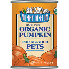 Nummy Tum Tum Organic Canned Pumpkin, 15-oz Can