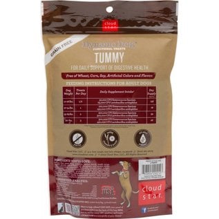 Cloud Star Cloud Star Dynamo Dog Tummy Pumpkin & Ginger Dog Treats 5-oz Bag